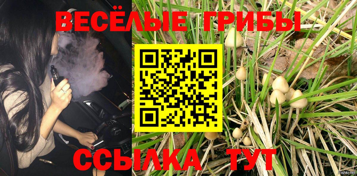 Галлюциногенные грибы Psilocybine cubensis Александров
